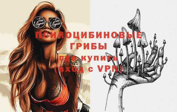 шишки Волоколамск