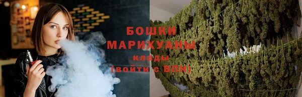 шишки Волоколамск