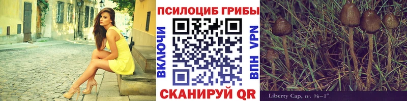 где продают Дальнереченск Псилоцибиновые грибы мицелий