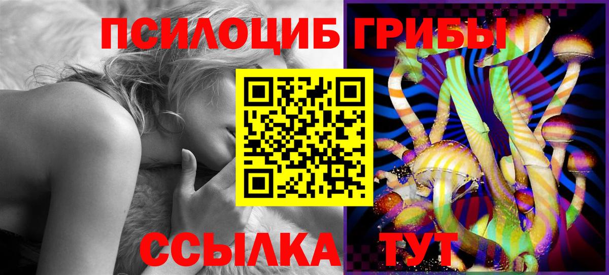 продажа наркотиков  Псилоцибиновые грибы Cubensis  Дальнереченск  Вход с VPN  Галлюциногенные грибы MAGIC MUSHROOMS 