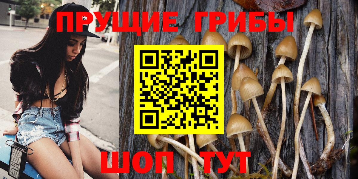 Псилоцибиновые грибы прущие грибы Дальнереченск